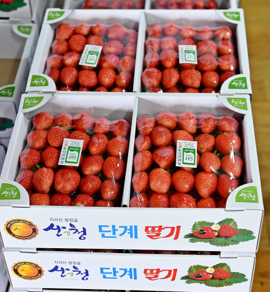 [청년농업인 힘내라] 산청 두산농장 권영민씨