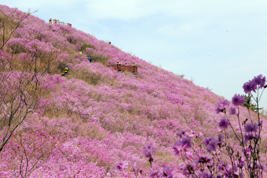 명산플러스 창원 천주산