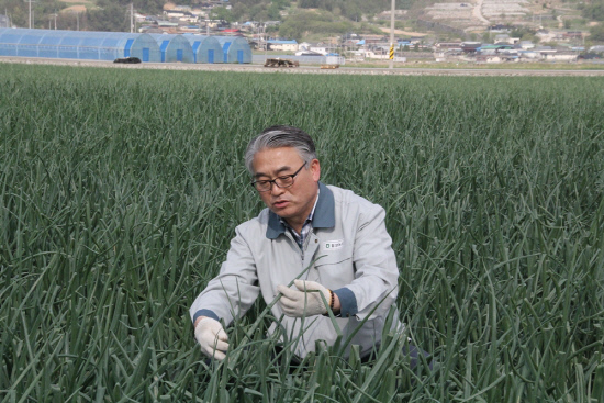 함양농협 양파로 경제사업 활성화에 앞장