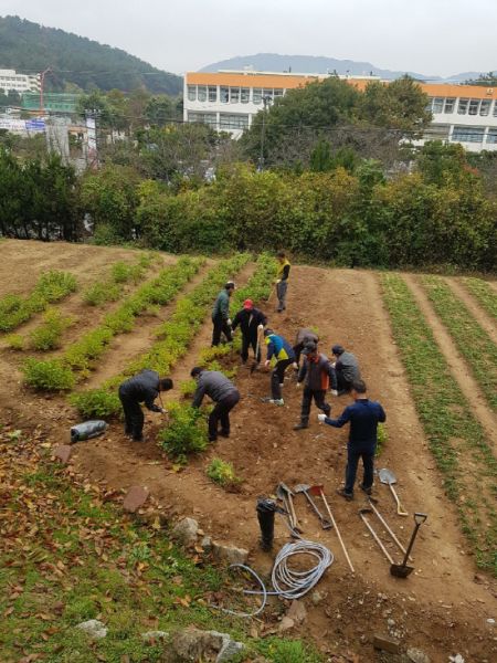 창원시 의창구 희망근로자 산림환경 정비