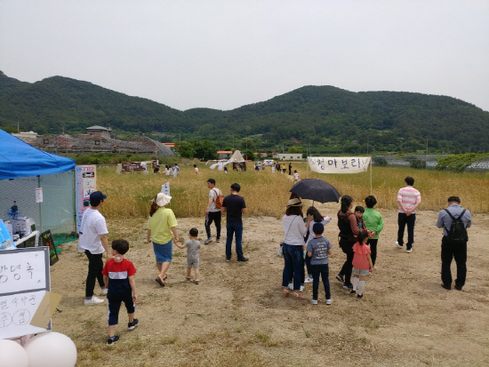 거제 청마보리 플리마켓 성황
