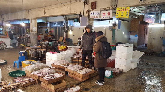 시장, 추억을 쌓다[6] 새벽을 여는 수산시장