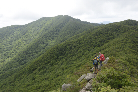 명산 플러스(224) 함양 거망산