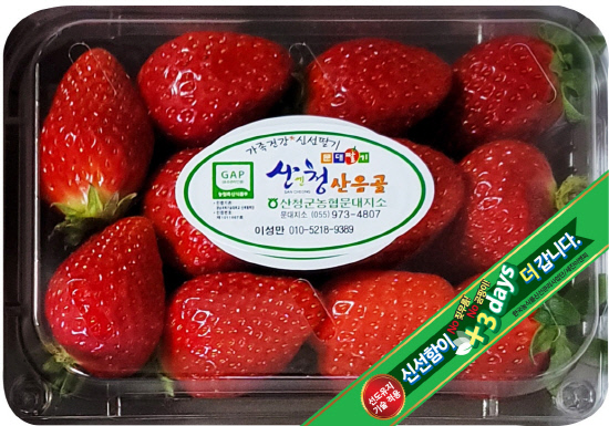 산청딸기·산딸기 유통·저장성 높여 제품가치 UP