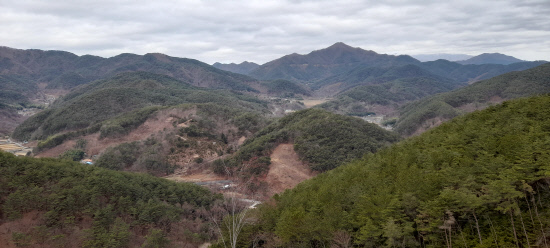 스토리텔링이 있는 힐링여행 [125]하동 편백자연휴양림