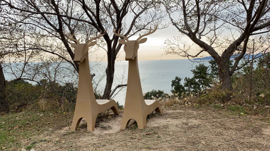 사슴을 만나는 행운, 거제 이수도로 와요