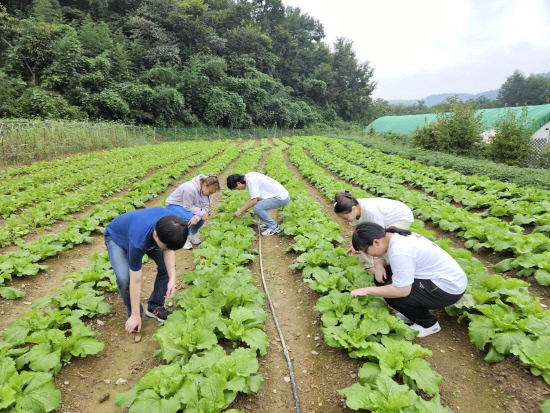 경남직업재활센터, 현장중심 직업체험 활동 진행