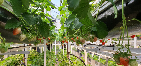 천연물 그린바이오산업의 중심 진주(3)전문가에게 듣는 천연물 그린바이오 산업