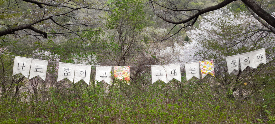 스토리텔링이 있는 힐링여행[153]금산 보곡산 산꽃술래길