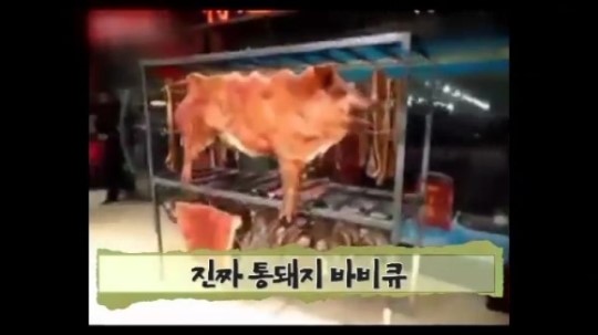 [아침뉴스/인터넷 토픽]이것이 ‘진짜’ 통돼지 바비큐