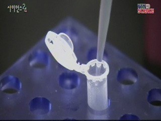 수입 미 오리건주 밀, 유전자 변형 제품 확인 안 돼