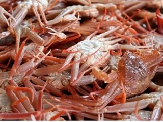 [축제&날씨] “동해바다 최고 먹거리 ‘대게’ 맛볼까”