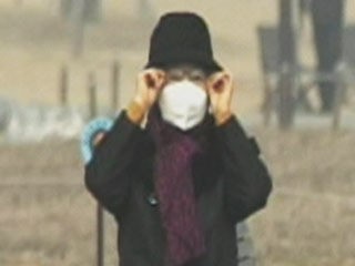 미세먼지, 황사 속 약초를 활용한 건강관리법