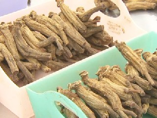 생산량 격감…고려인삼 최대 위기