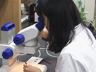 우리나라 여성 과학기술인력 현황과 확대 방안