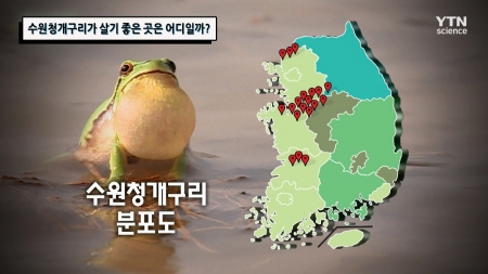 수원청개구리가 살기 좋은 곳은 어디일까?