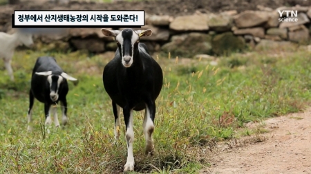 정부에서 산지생태농장의 시작을 도와준다!
