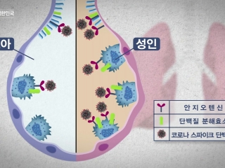 맑은 공기, 숨 편한 대한민국 62회