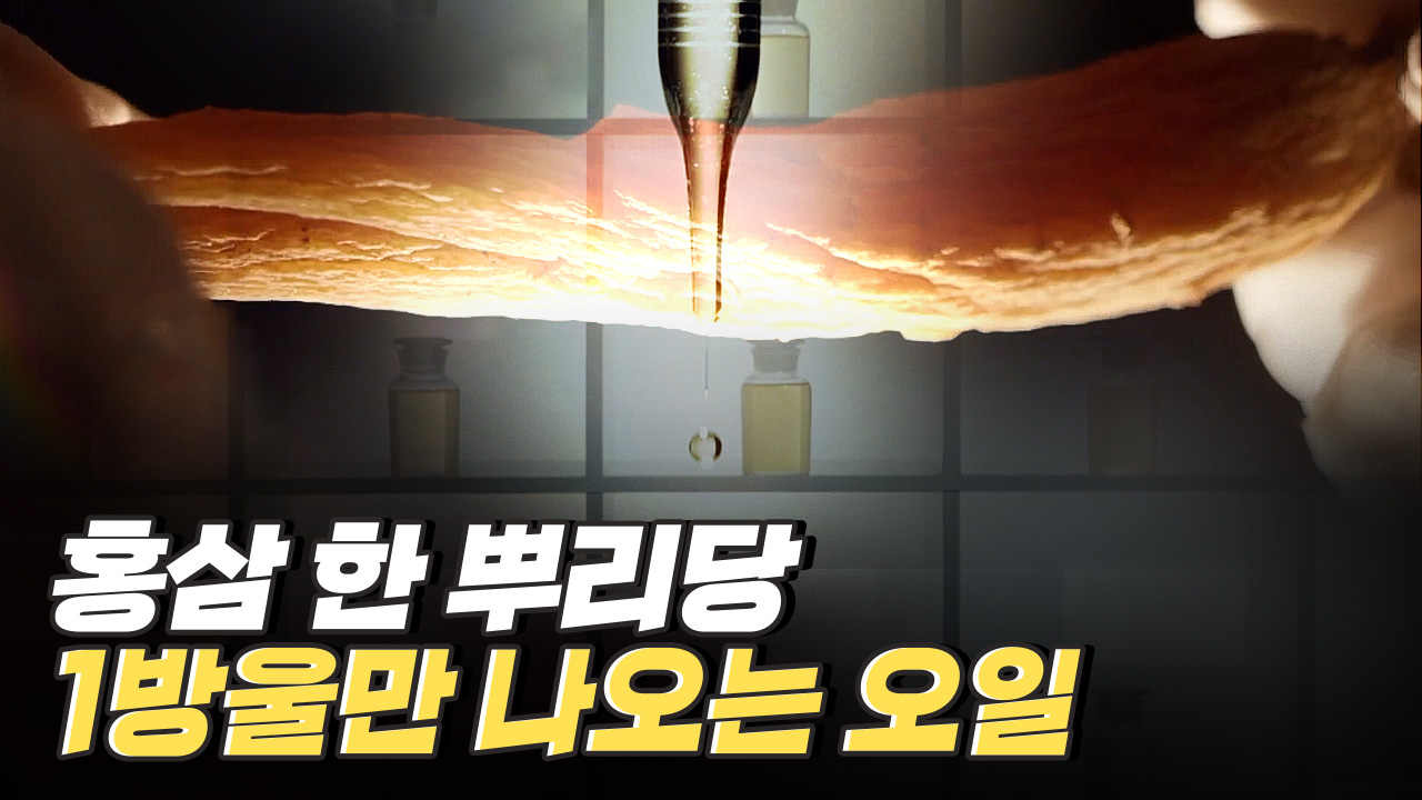 홍삼을 다양한 제품으로 제작하는 기업