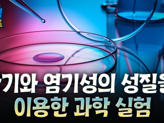산기와 염기성의 성질을 이용한 과학 실험