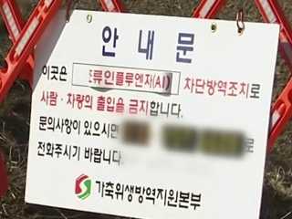 전남 고흥 오리농장에서 AI 확진...가금농장 첫 사례