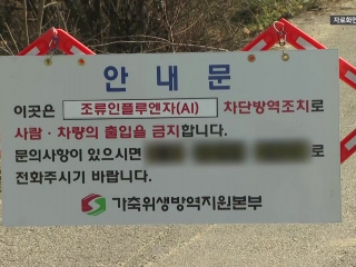 가금농장 5곳 추가 확진...국내 농장 고병원성 AI 15건