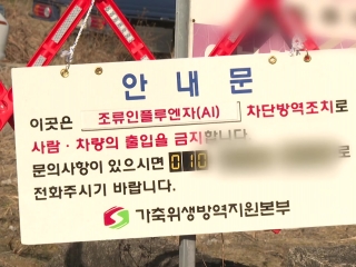 고병원성 AI 확산...서해안벨트 차단 방역 총력