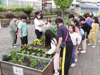 나는야 꼬마농부!...텃밭 가꾸니 몸도 마음도 튼튼