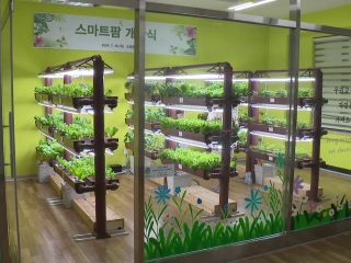 학교에서 만난 자연...스마트팜으로 新 농업 배워요!