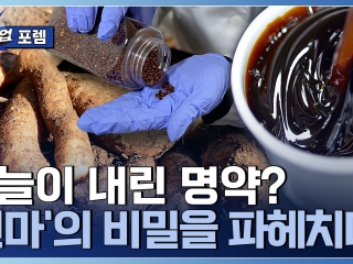 하늘이 내린 보물! 천마 건강식품 개발 기업