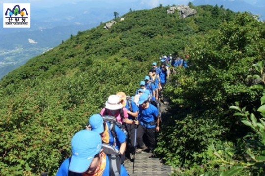 산림청, 안전 산행을 위한 등산학교 운영