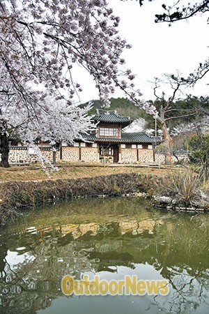 가족여행 5선 ③ 전남 보성