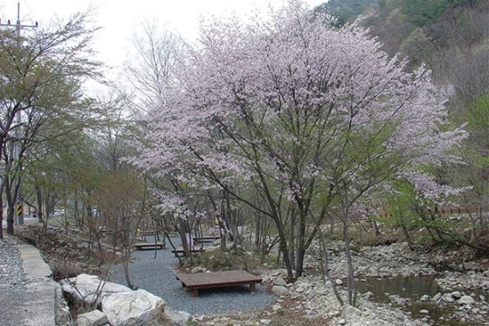 백패킹 | 태안 해변길 ⑤ 인포메이션