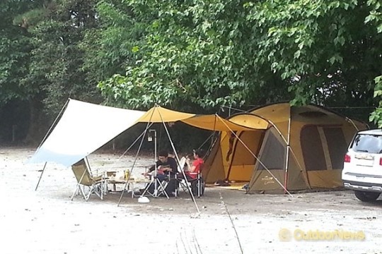 캠핑장 옆 박물관 | 돼지박물관 & 금다래산머루캠핑장