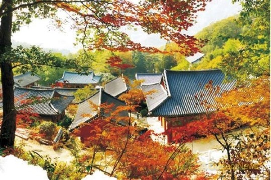 경남 하동서 어슬렁캠프 열린다