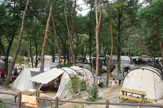 국립공원 야영장 등급제 적용…별표 1~4개 매겨
