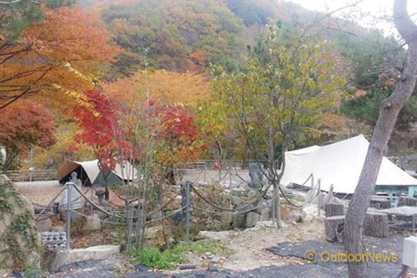 빨갛게 빨갛게 물들었네…단풍 멋진 캠핑장 9선