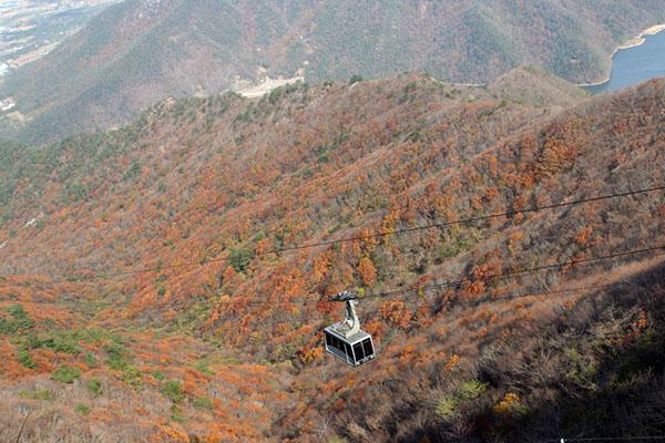 두륜산 케이블카 탑승객 전원 무사 구조