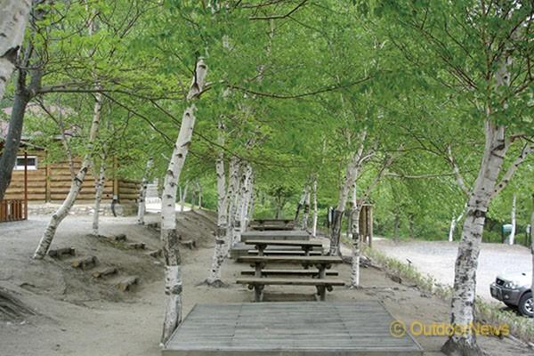 피톤치드 가득!…산 속 캠핑장 9선
