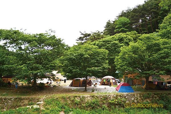 피톤치드 가득!…산 속 캠핑장 9선