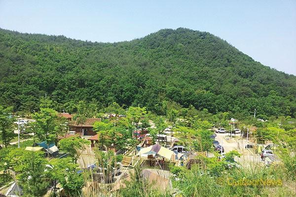 피톤치드 가득!…산 속 캠핑장 9선