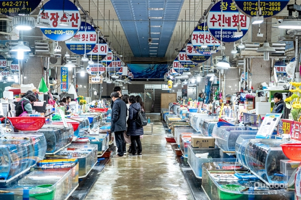 여수 여행지 BEST8