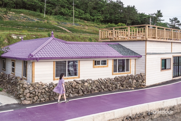 보라보라해, 전남 신안 퍼플섬