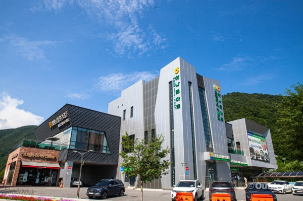 [정선] 캠퍼를 위한 먹거리 대공개