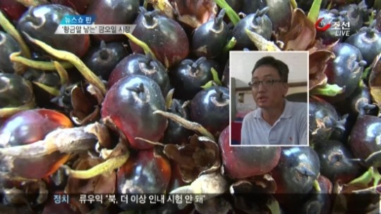 황금알 낳는 팜오일 시장을 잡아라!