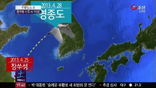 중국발 신종 AI 비상