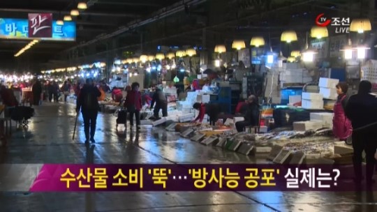 11월 19일 뉴스쇼 판 헤드라인
