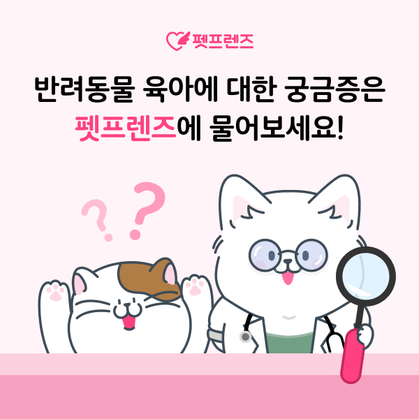 반려동물 전문가와 24시간 상담 제공하는 펫프렌즈, 누적 상담건수 100만건 돌파