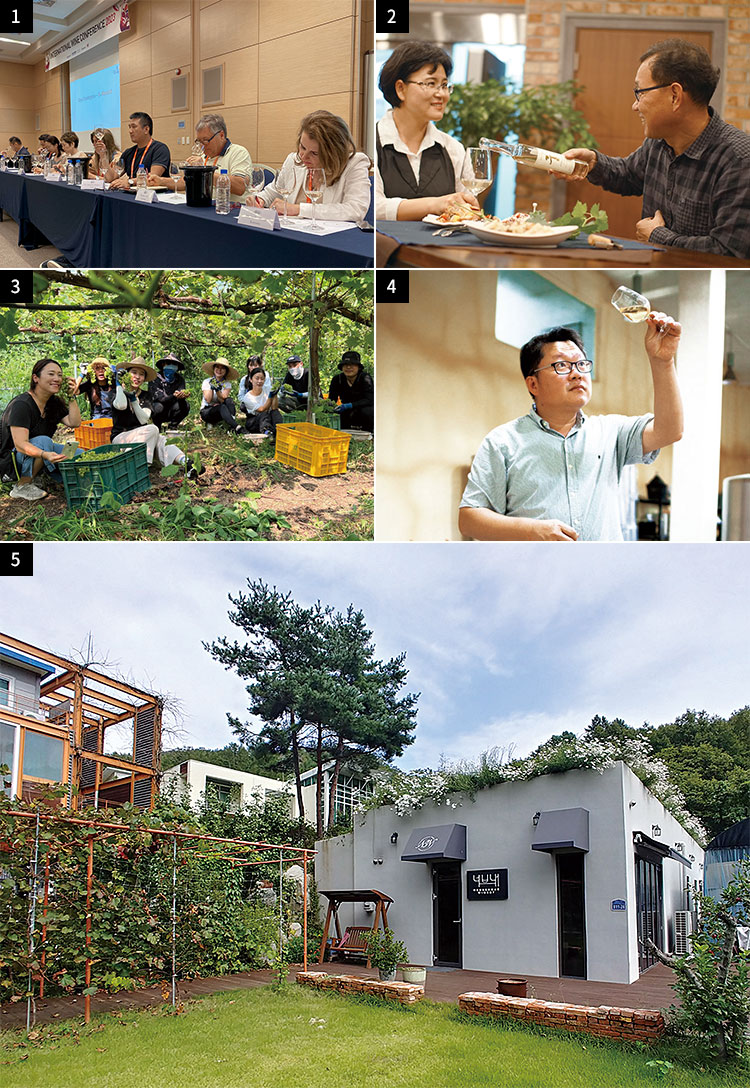 [원스 어폰 어 와인 <45> 추석 음식에 어울리는 한국 와인들] 갈비·잡채·빈대떡…한가위 음식과 궁합 맞는 우리나라 와인들