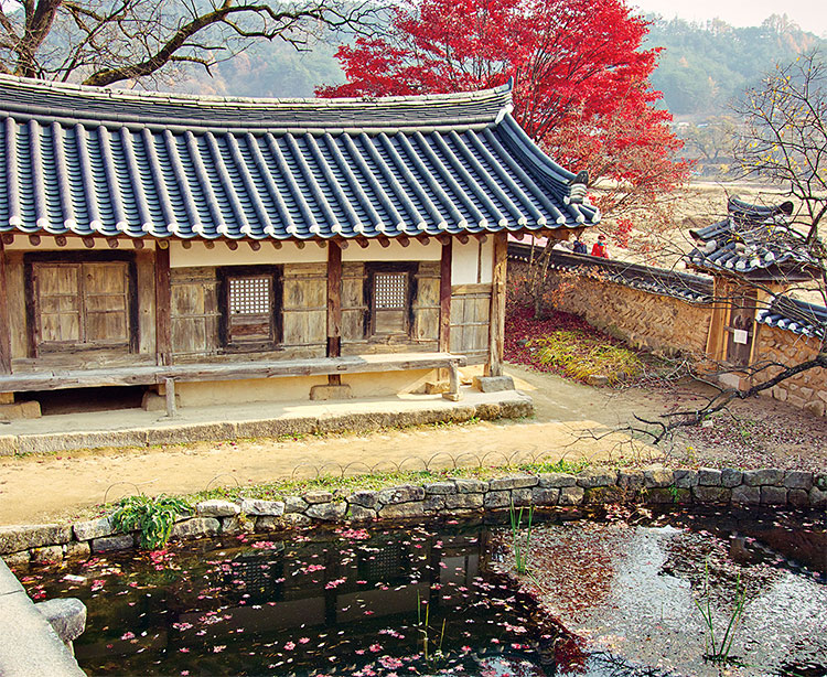 [최갑수의 여행이라는 꽃다발 <30> 경북 봉화] 마음은 가을빛으로 물들어…봉화 닭실마을과 만산고택